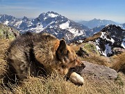 41 E qui pranzetto al sacco e ora relax